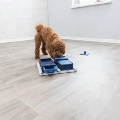 TRIXIE Activity Poker Box Activity Strategy Game Dog Toy, Level 2 13 TRIXIE Activity Poker Box Activity Strategy Game Dog Toy, Level 2 -Trixie 118931 PT2. AC SS1800 V1686328989