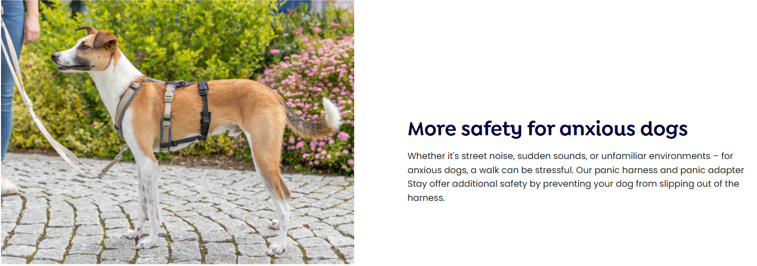 Trixie 19 Trixie -Trixie 2