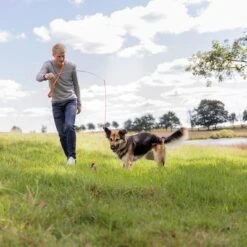 Trixie Bait Trap -Trixie 209093 trixie reizangel hs 08 7