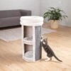 TRIXIE 2-Story Mexia Tower Cat Condo -Trixie 221564 main. AC SS1800 V1582054983