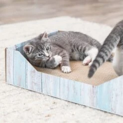 Trixie Cardboard Scratching Bed -Trixie 332796 trixie kratzbett pappe hs 07 3