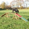 Trixie Dog Agility Bridge -Trixie 73772 trixie dogactivity agilitysteg hs 01 2